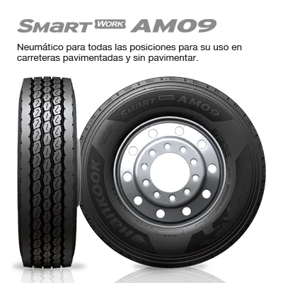 Llantas H19